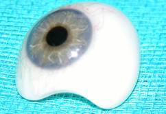 Anophthalmic cavity 5