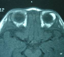 Congenital malformations 8